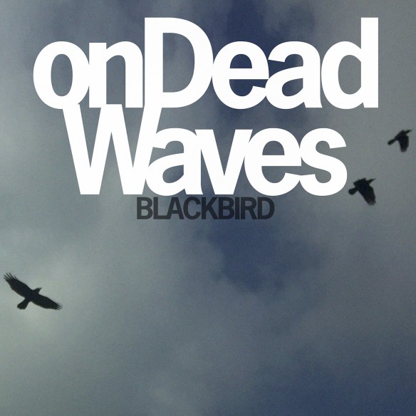 Blackbird_Packshot